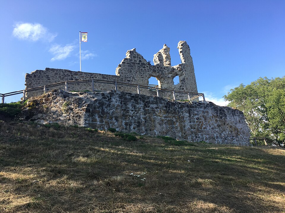 Ruine du château de Thynière