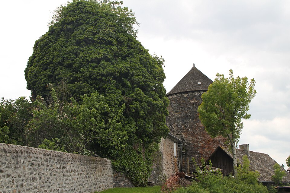 Château d'Escorailles — Tour Nord — Ouest ouverte de lierre