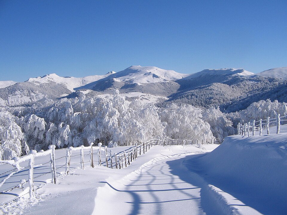 Col de legal