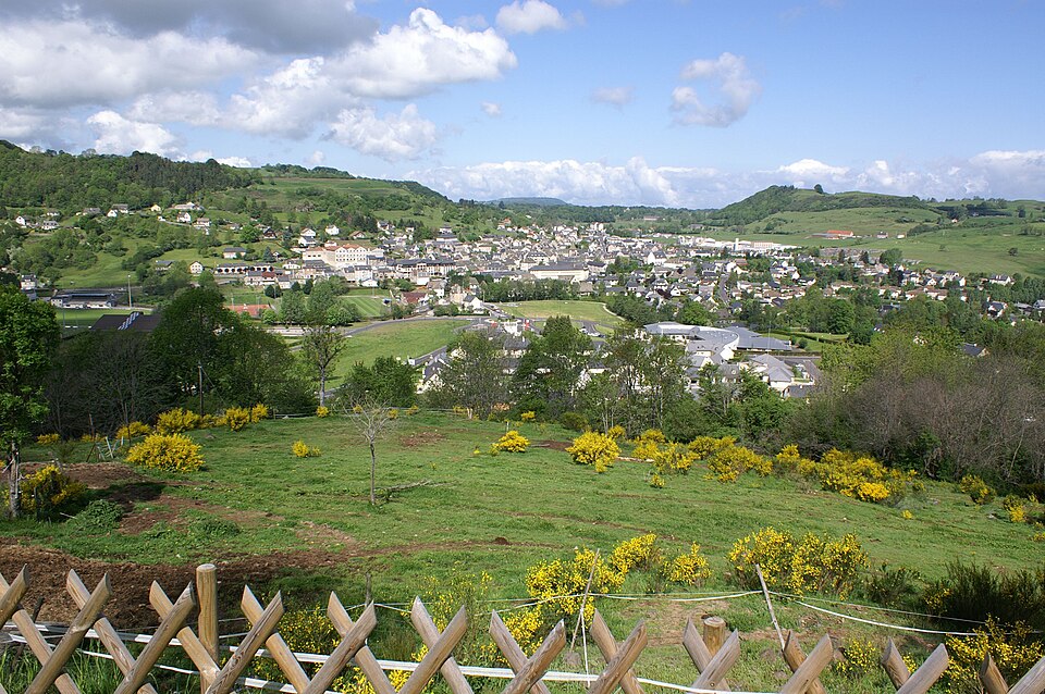 Riom — ès — Montagnes — vue générale