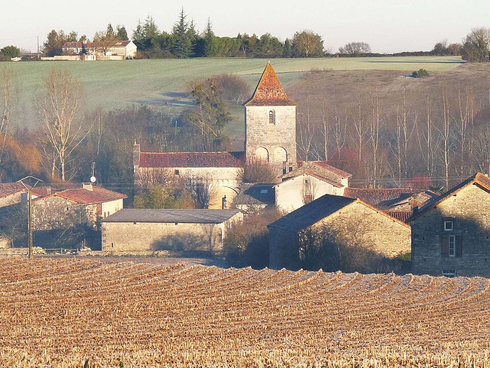 Mouton vue