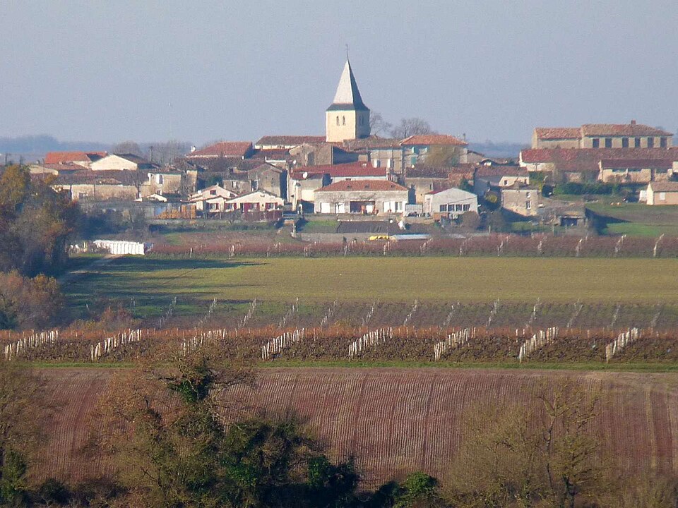 Stgenisdh vue