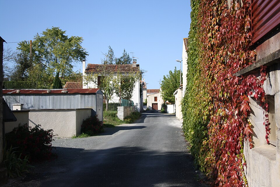 Antezant rue1