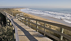 Le bois plage promenade