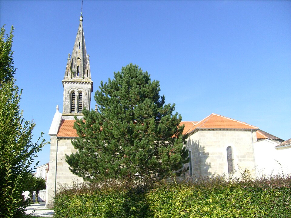 Vue de Chenac-Saint-Seurin-d'Uzet