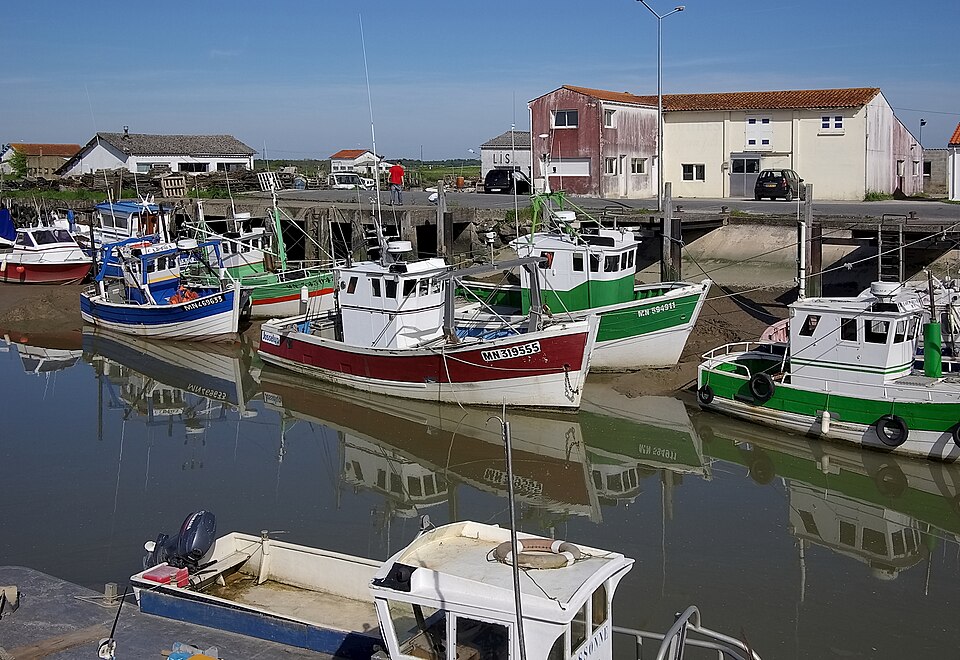 L'Éguille 17 Bateaux de pêche 2008