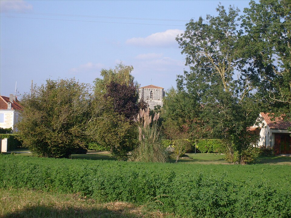 Vue de Romegoux