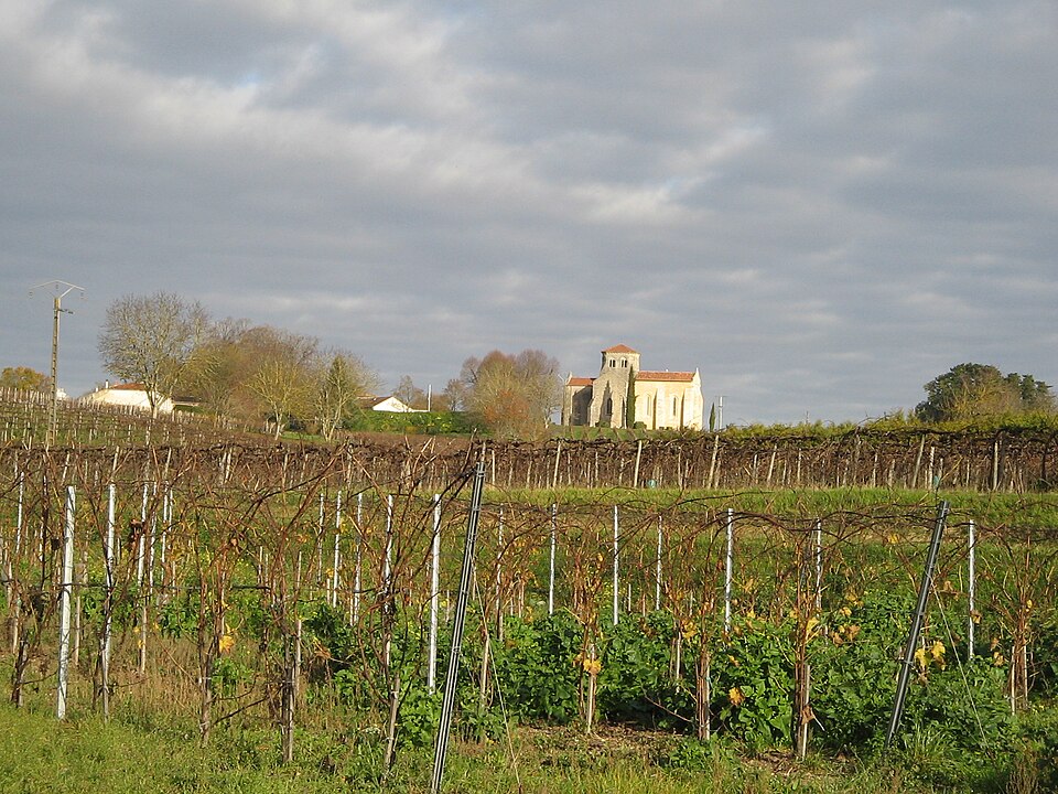 Steugène17
