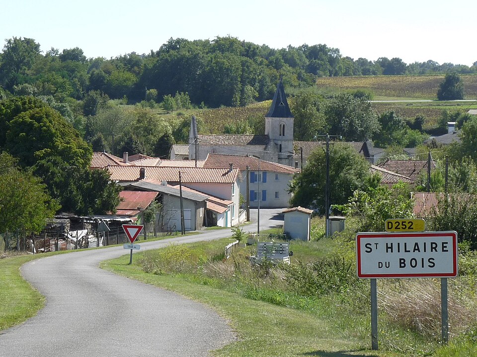 Sthilbois17 vue