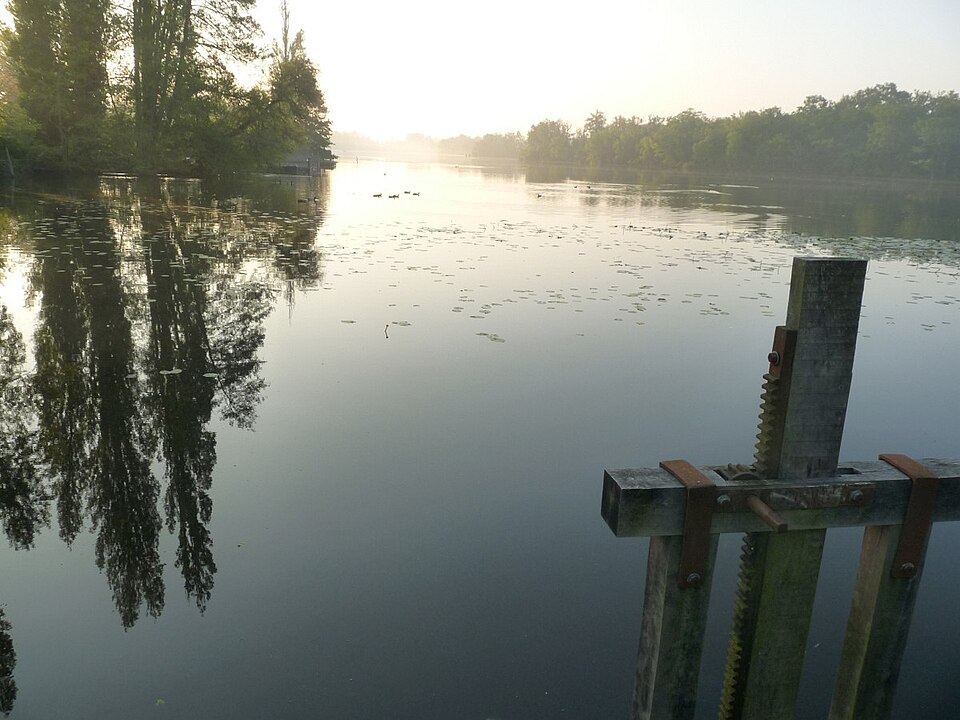 Stmaigrin etang
