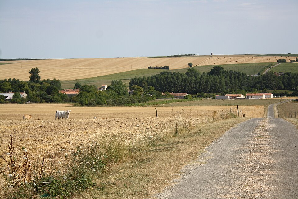 Paturage, Saint — Pierre — de — Juillers