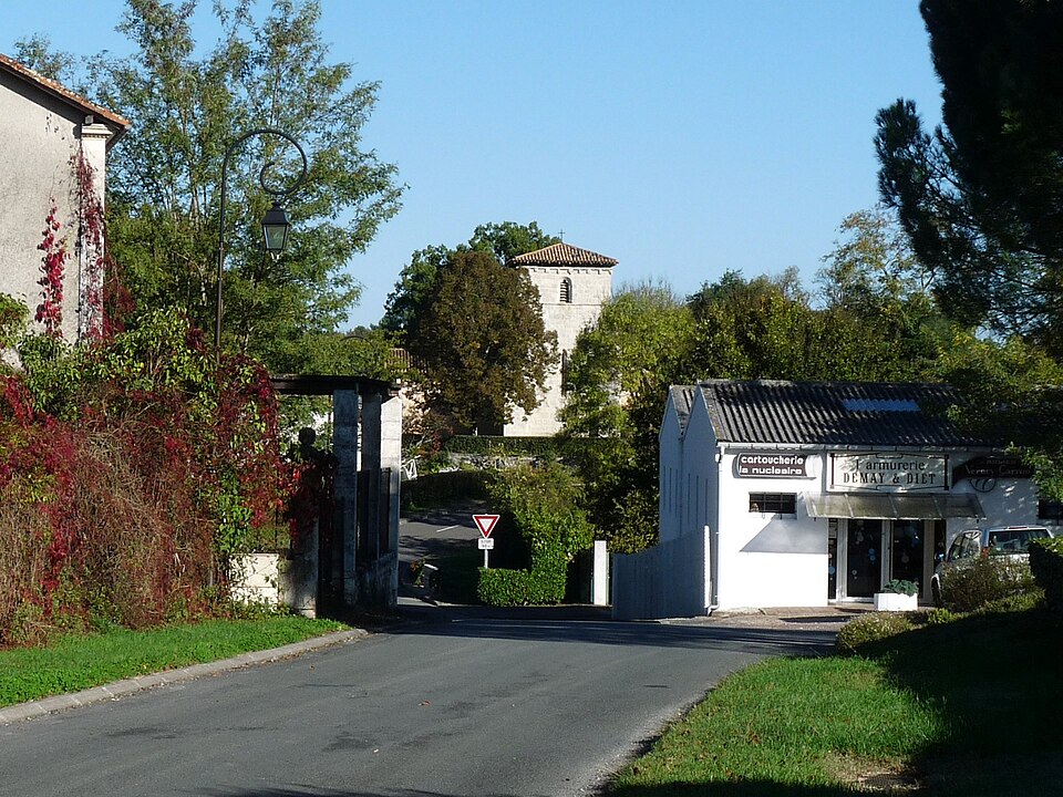 Stpierrepalais vue1