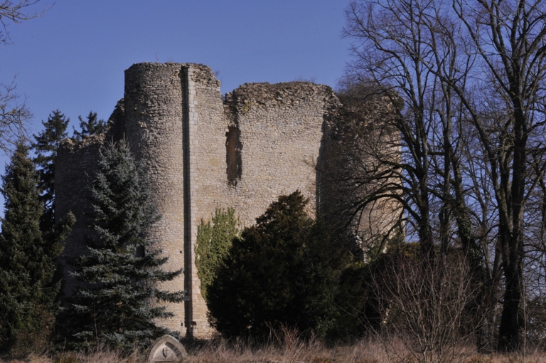 Donjon Jouy Cher mar09