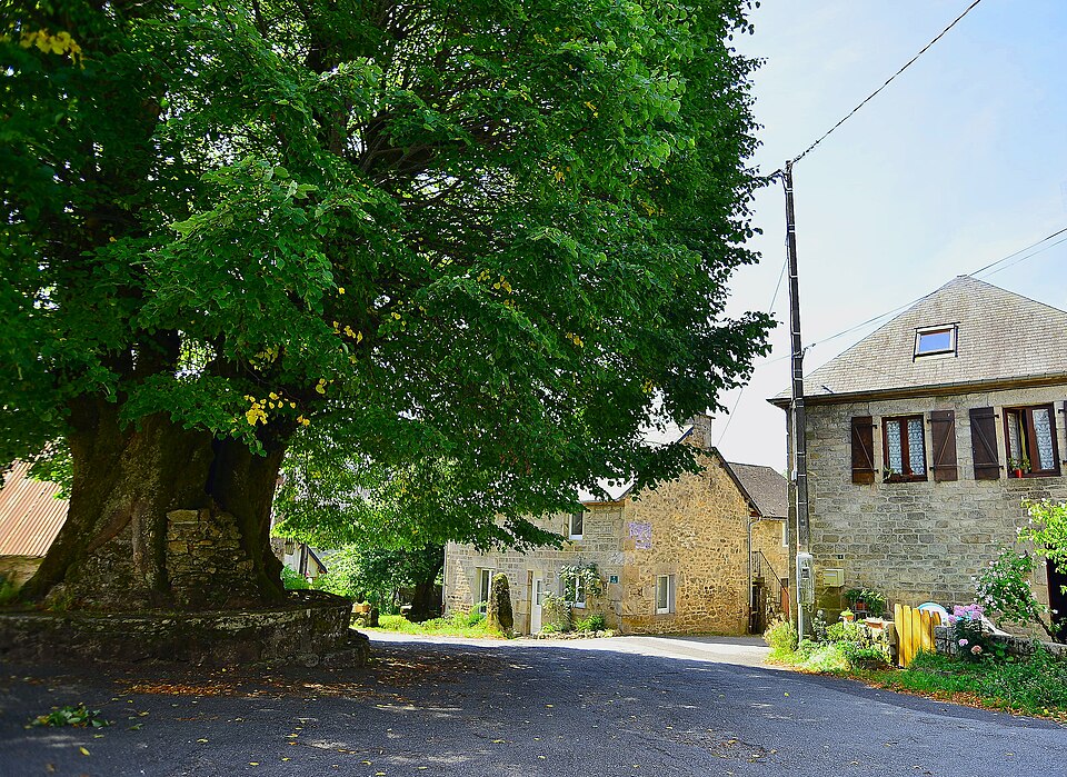 Bonnefond, le tilleul de Sully et le menhir du bourg