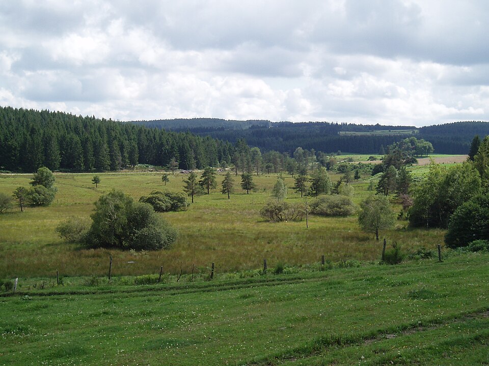 Prairie2