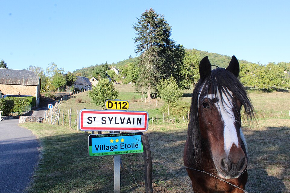 Saint — Sylvain Entrée