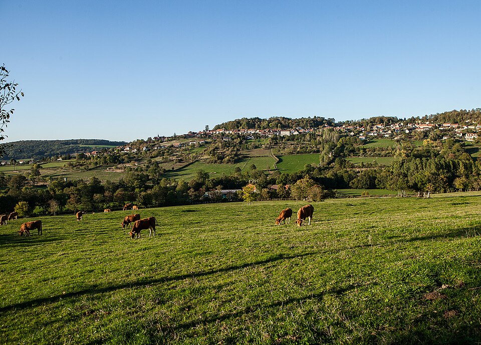 Vue sur Alise — Sainte — Reine