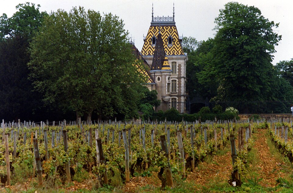 Aloxe — corton — 21