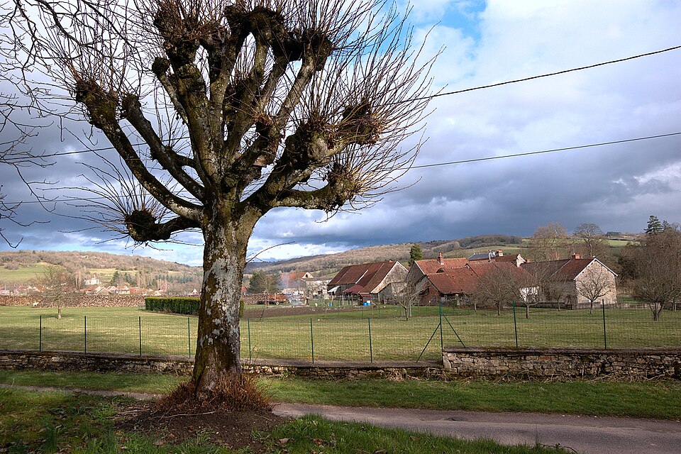 Bellenot — sous — pouilly