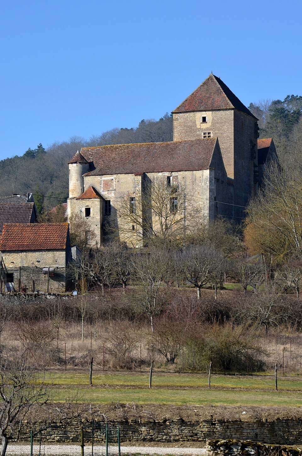 Maison forte a Courcelle les Montbard DSC 0139
