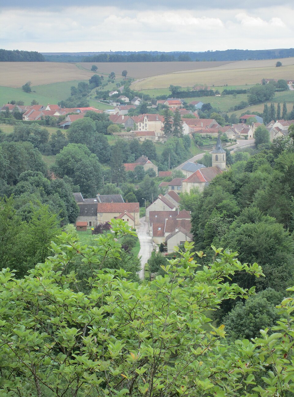 Coquille05