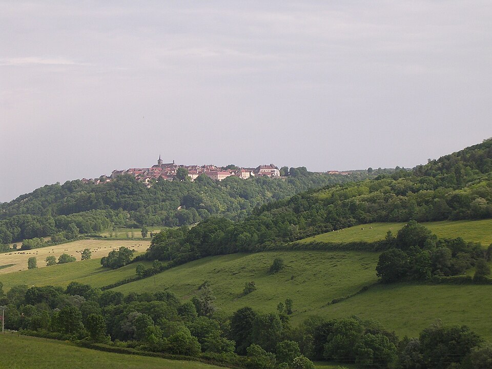 Flavigny vue générale