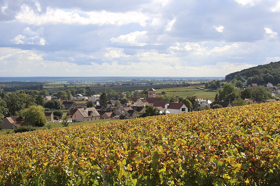 VueGevreyChambertin