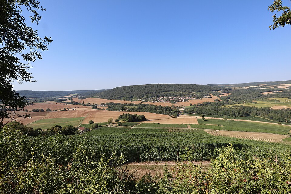 Le bourg de Messanges (Côte — d'Or) vu depuis la butte de Vergy 06