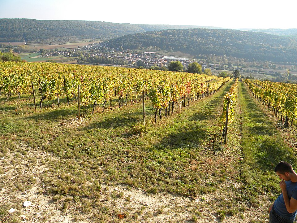 Meuilley 020