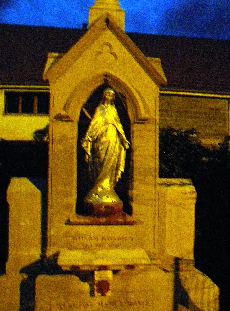 Saint — Bernard — 1