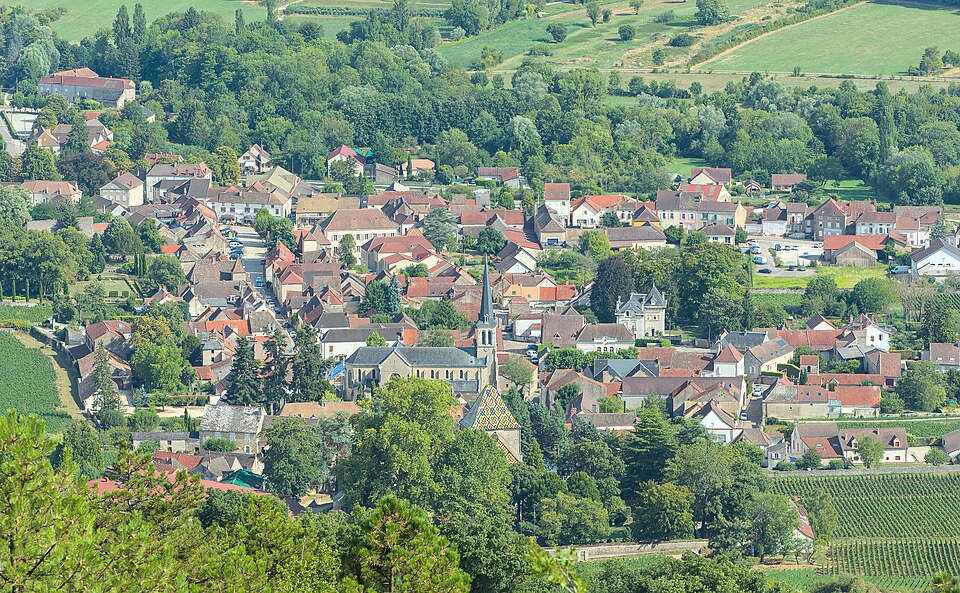 Santenay — View from Mont de Sène — 1