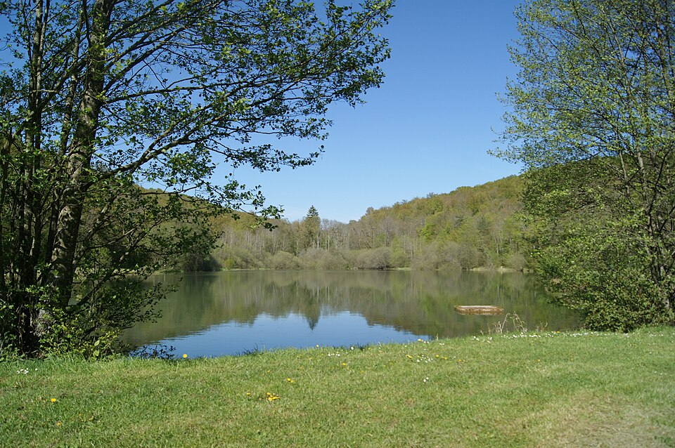 Étang de Vernois — les — Vesvres — 21260 — 01