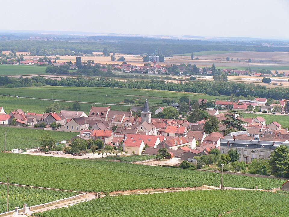 Vosne — Romanee