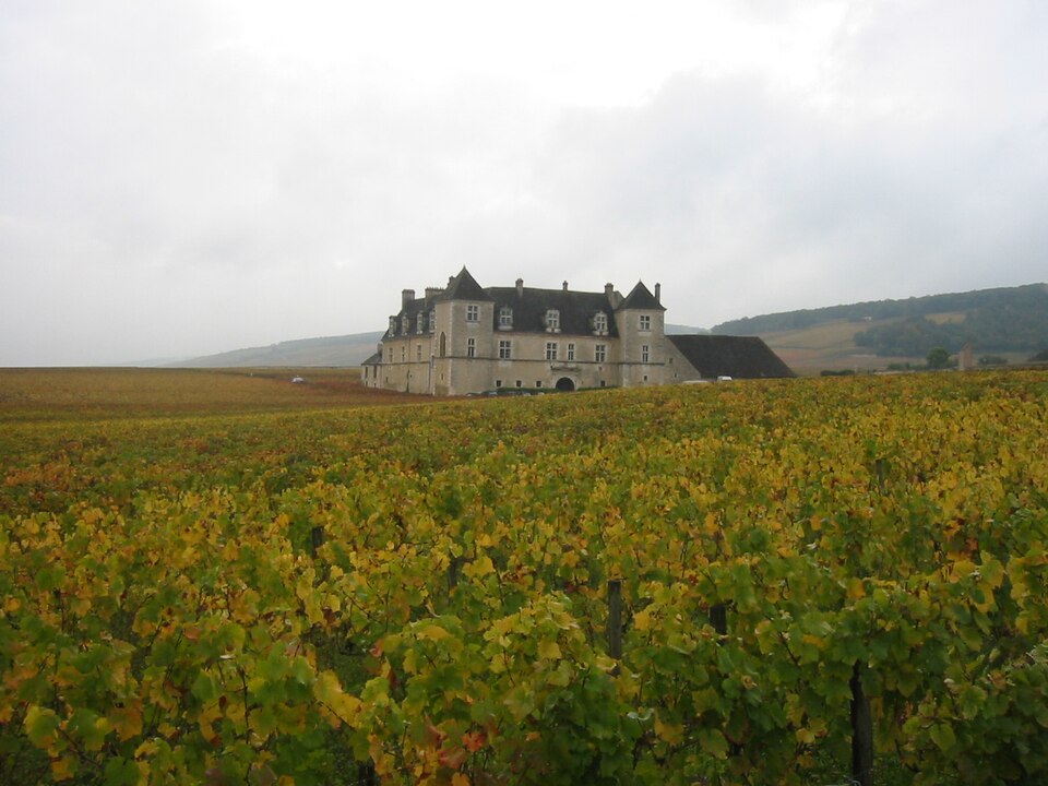 Chateau du clos de Vougeot 2