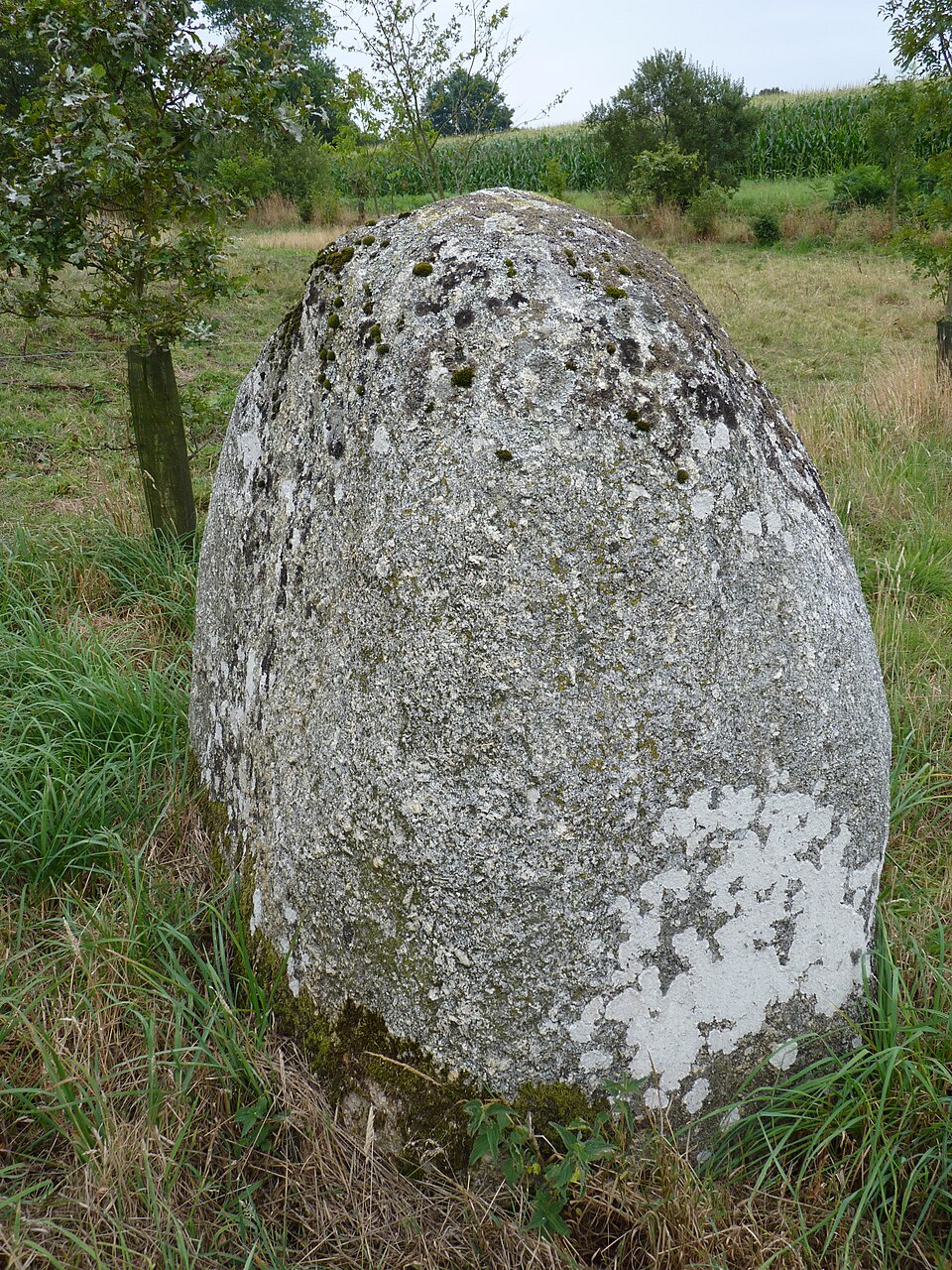 Menhir du Petit Vauridel à Plaintel