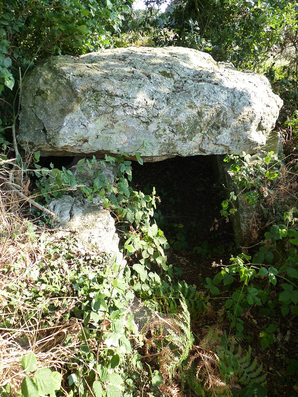 Allée couverte de La Roche aux Fées de la Brousse à Plénée — Jugon 03