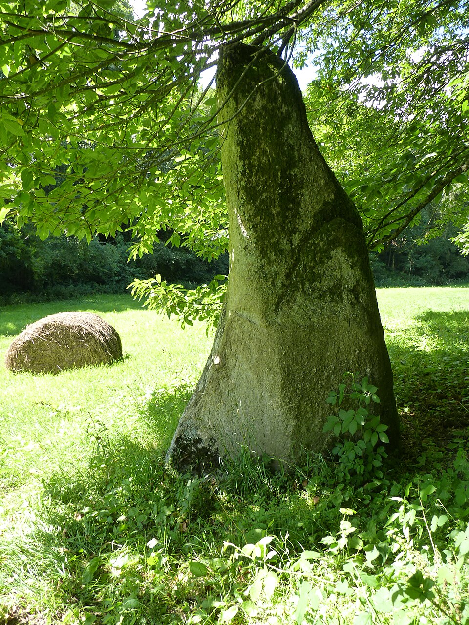 Menhir du Pré de Camet à Plouvara