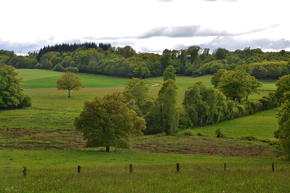 Campagne — parc St — Maurice