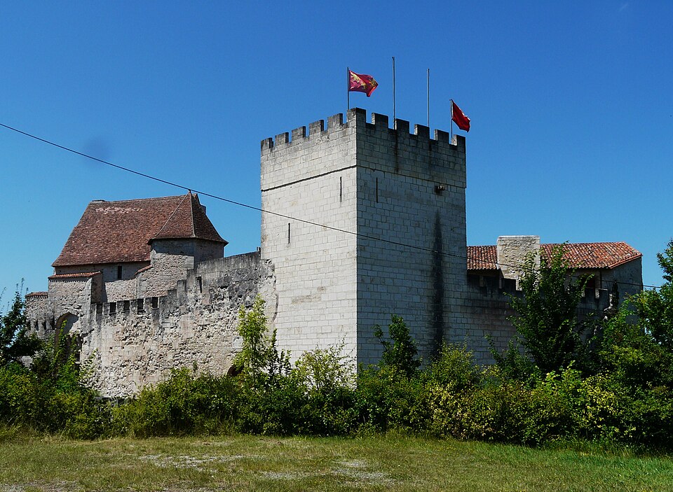 Grignols château (6)