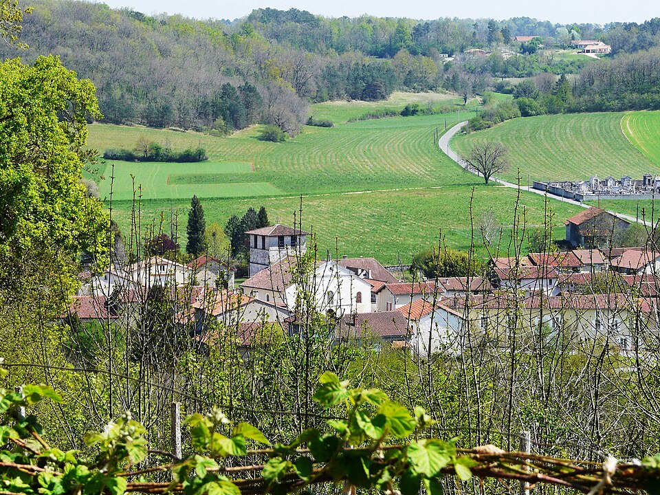 Quinsac (Dordogne) vue générale