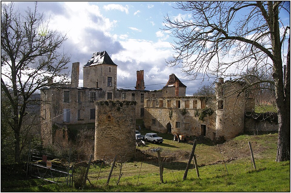 SAINT — AUBIN — DE — NABIRAT (Dordogne) — Ruines du château du Repaire — 11