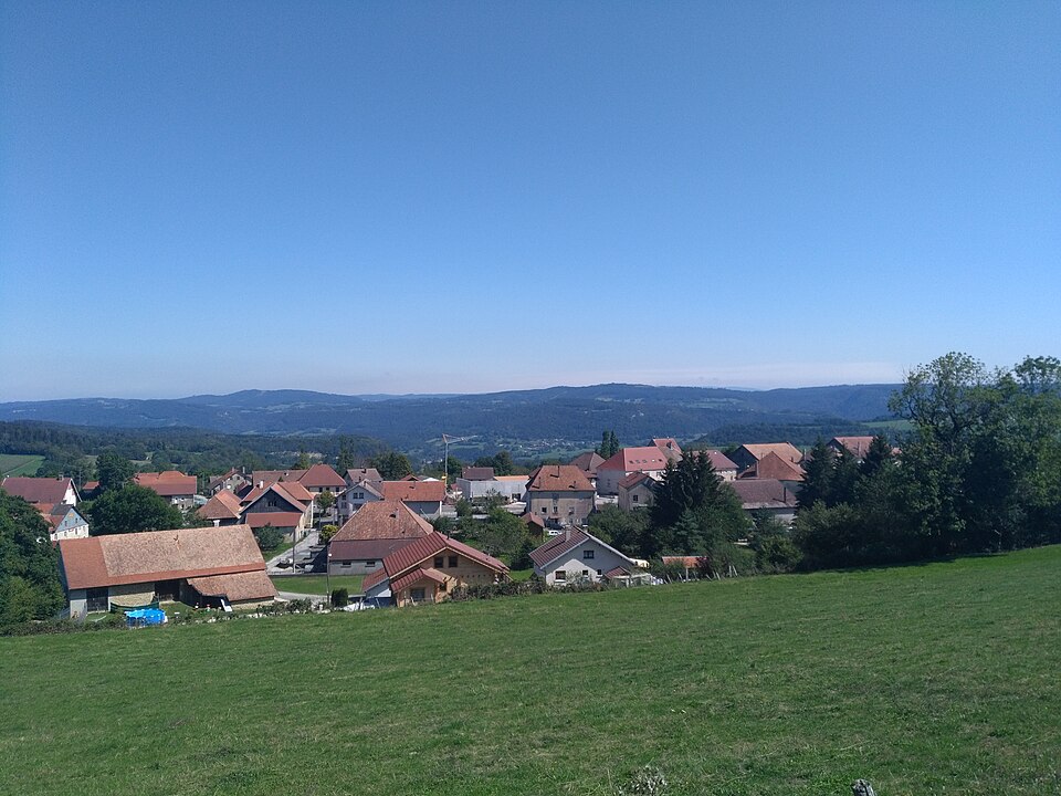 BELLEHERBE