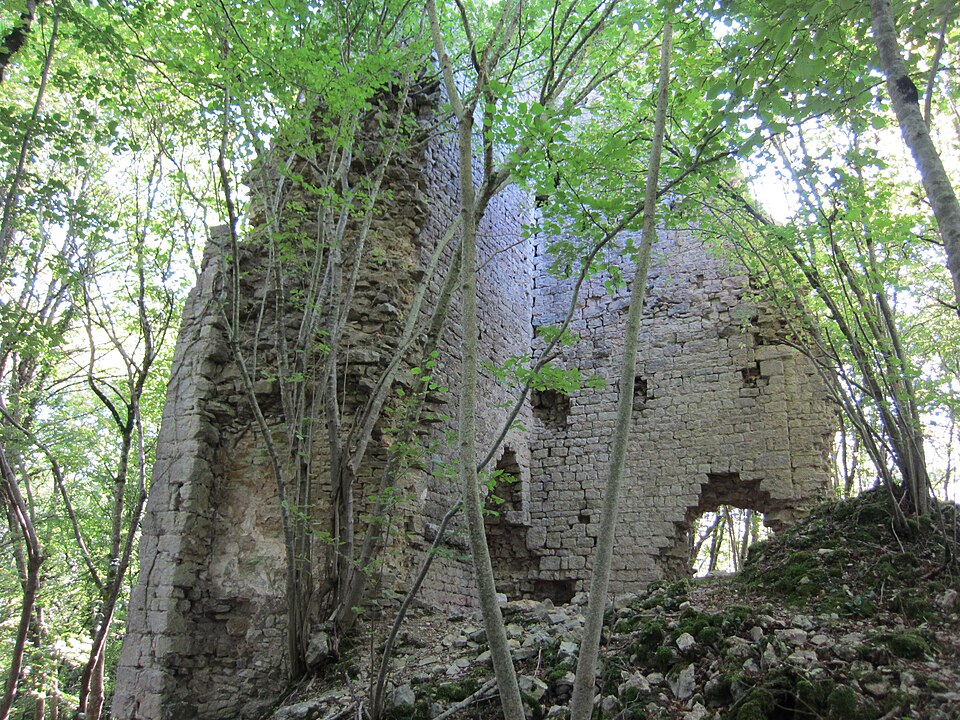 Chateau de Vaite