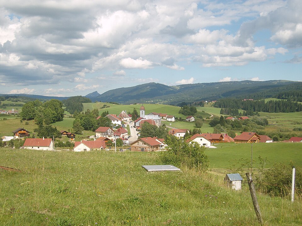 Gellin — vue générale