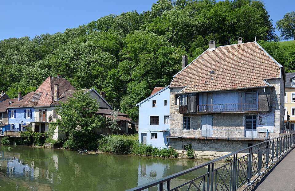 Bras du Doubs à l'Isle sur le Doubs DSC 0812