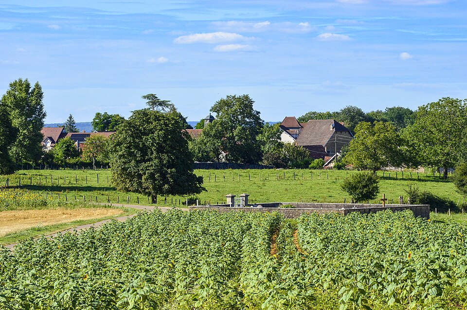 Placey, vue sur le village depuis le sud