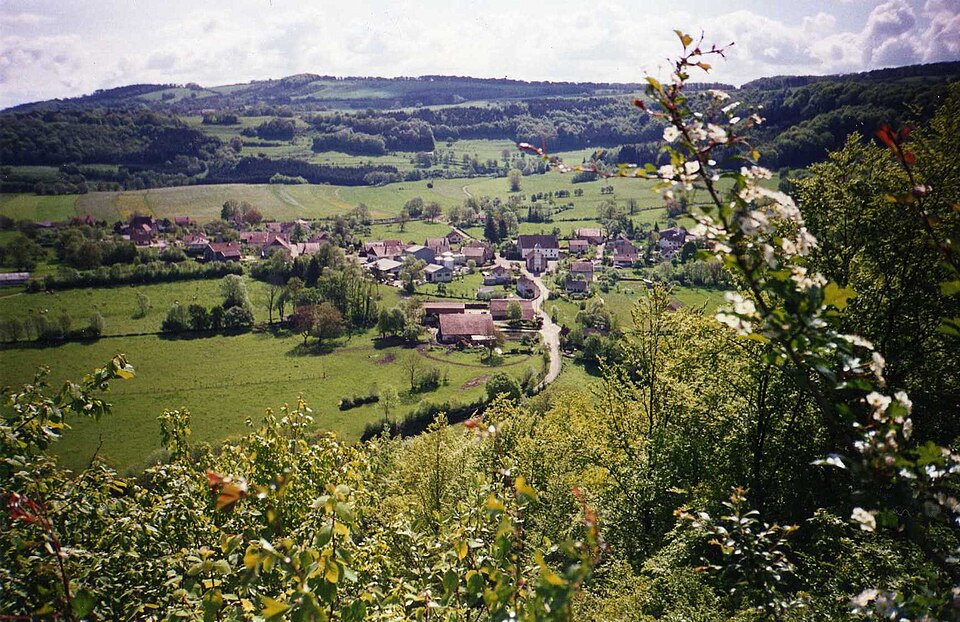 Vue générale