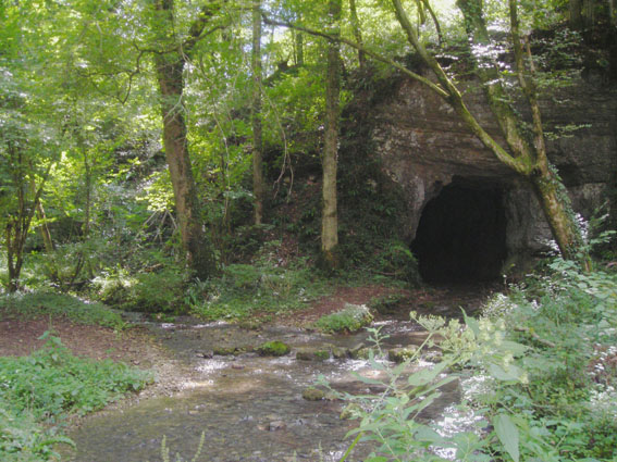 Source — de — la — Beune Doubs