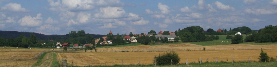 Trepot17
