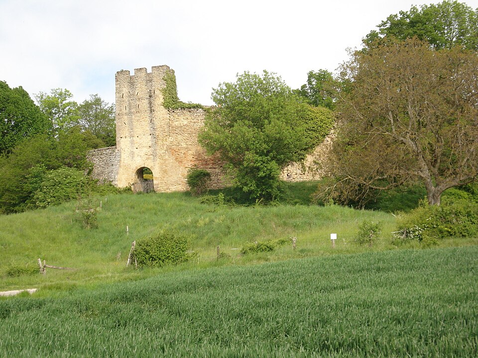 Château de Montchenu